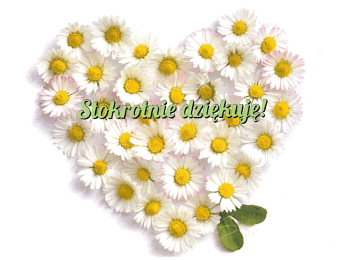 stokrotniedziękuję